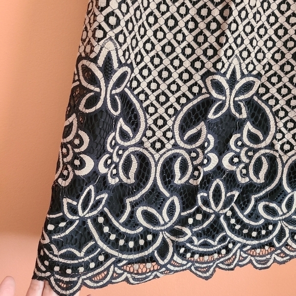Eliza J Black & Cream Lace Shift Cocktail Dress - 12 - Picture 5 of 12